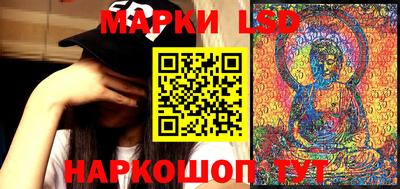 гашик Донской