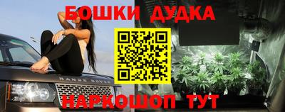 тгк Дубна