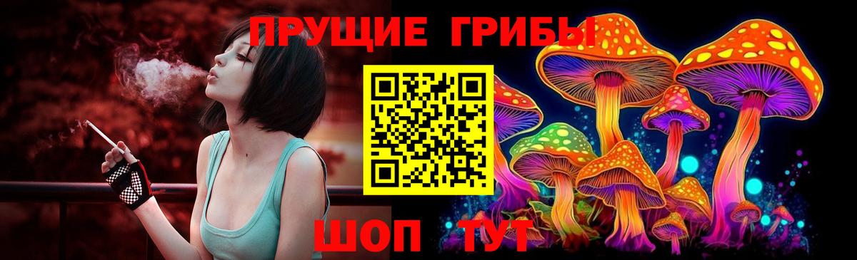 Галлюциногенные грибы GOLDEN TEACHER  Вход с VPN  Ливны 